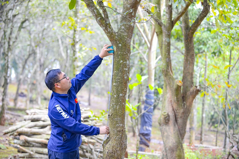 Trả lại sự tôn nghiêm cho di tích quốc gia