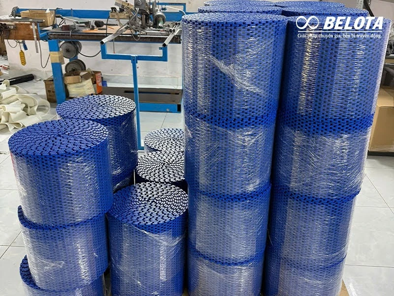Băng tải nhựa: Giải pháp bền bỉ cho môi trường sản xuất liên tục