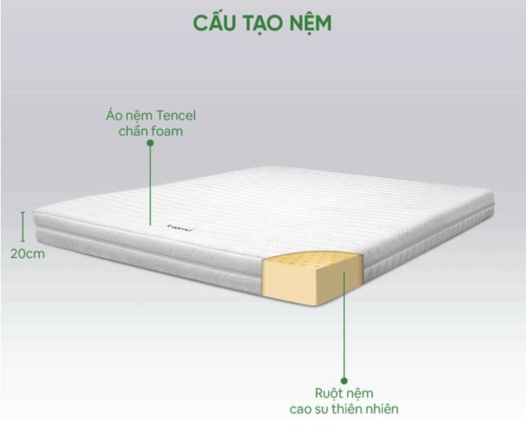 Có nên mua nệm cao su Gummi không?