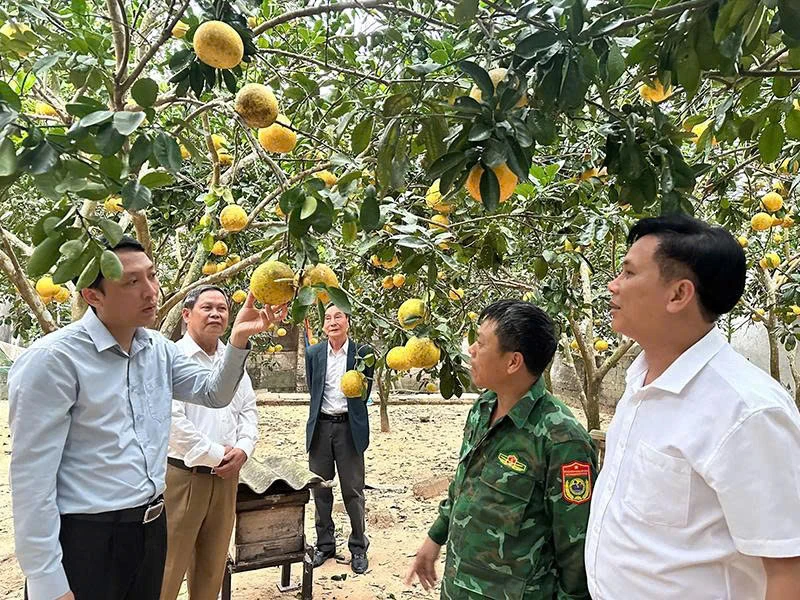 Nông Cống phát triển các mô hình kinh tế tạo sinh kế bền vững