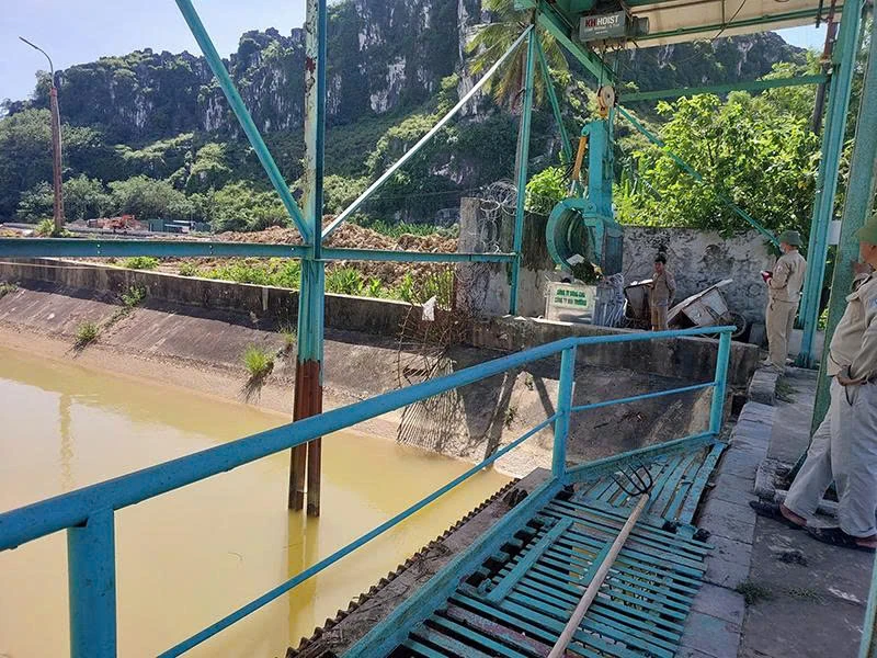 Công ty TNHH MTV Sông Chu: Thi đua lao động sáng tạo cho những cánh đồng bội thu