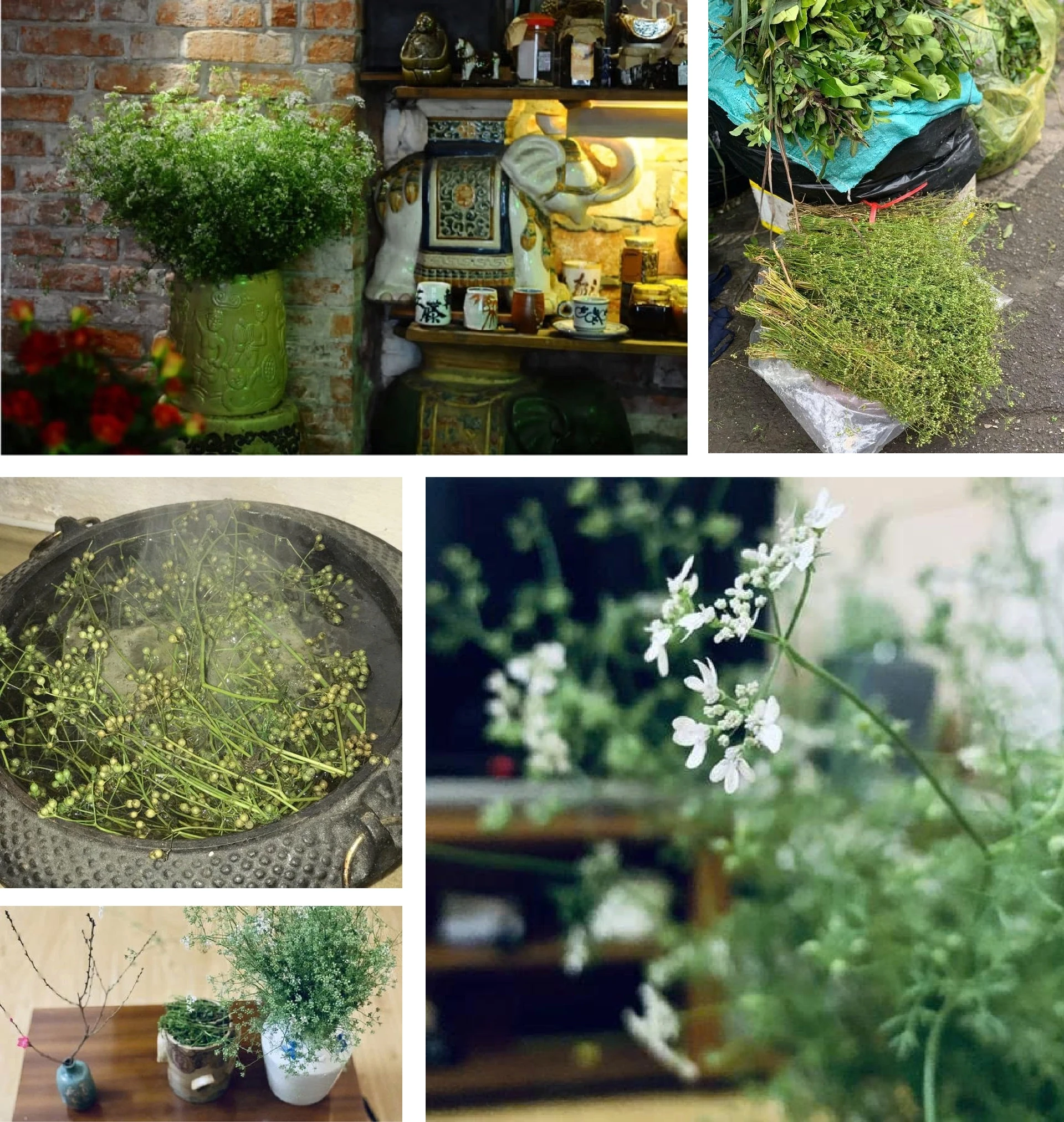 [E-Magazine]: Hương mùi mãi “trinh nguyên”...