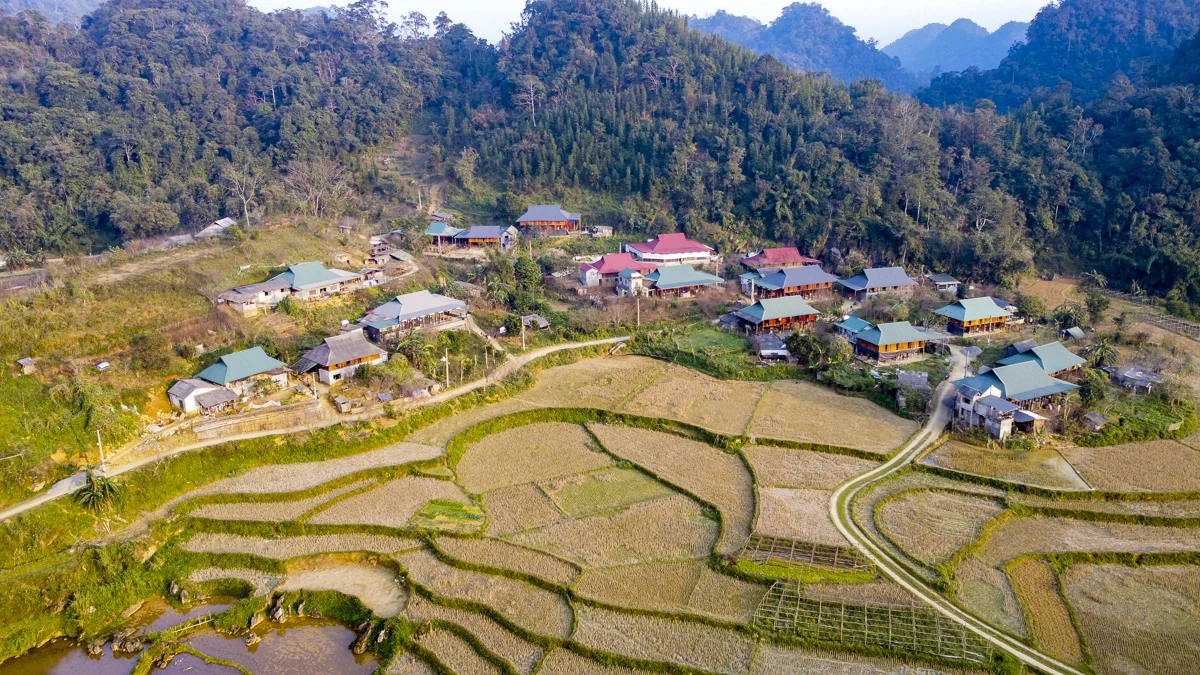 Từ đất dốc Cao Sơn đến vùng dược liệu atiso