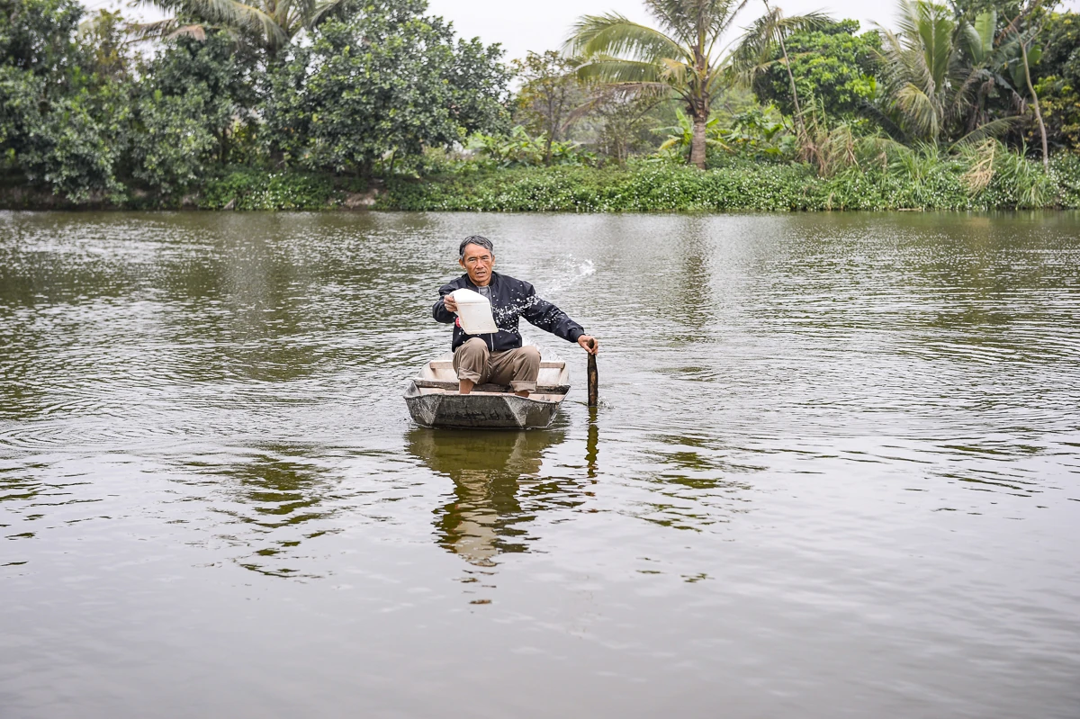 Tôm càng xanh giúp ruộng lúa “sinh lời”