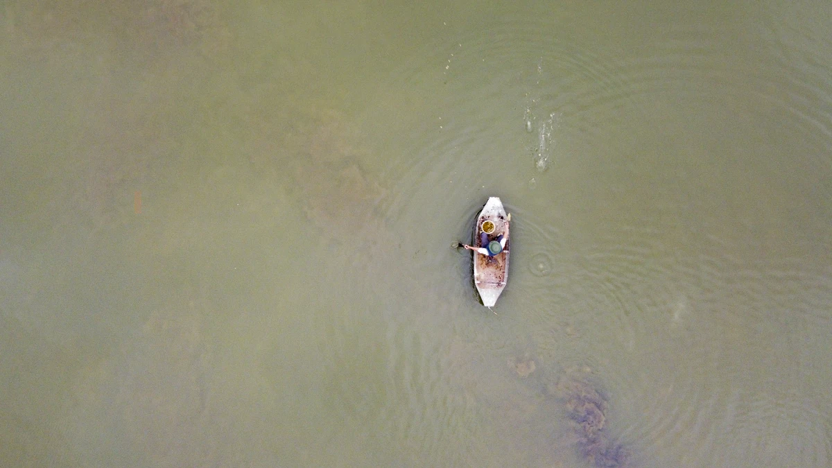 Tôm càng xanh giúp ruộng lúa “sinh lời”