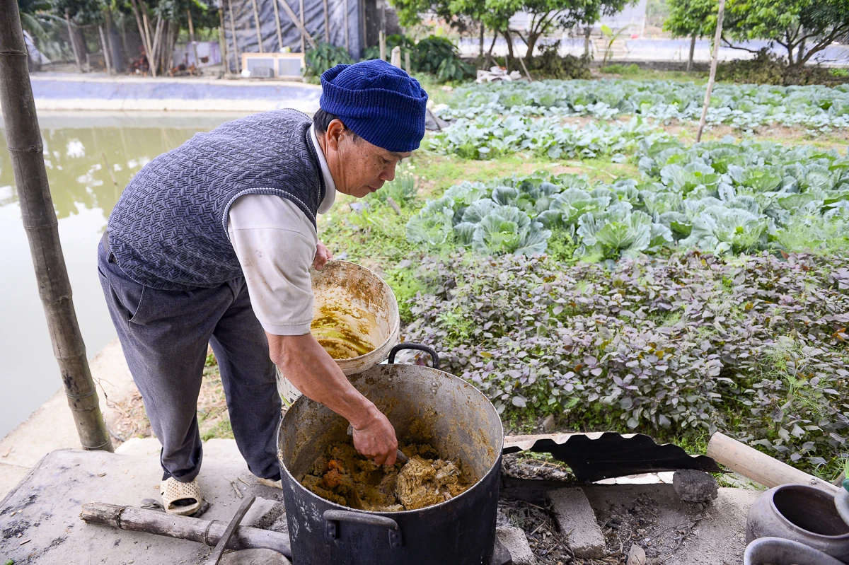 Tôm càng xanh giúp ruộng lúa “sinh lời”
