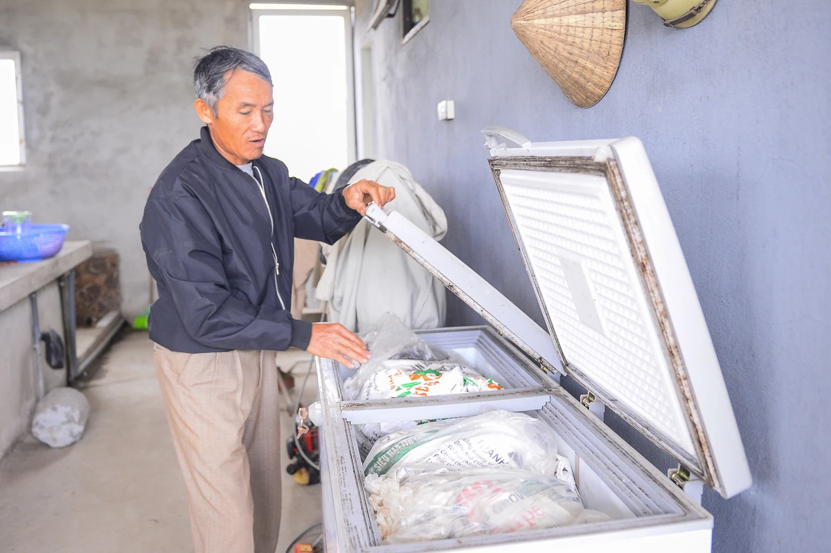 Tôm càng xanh giúp ruộng lúa “sinh lời”