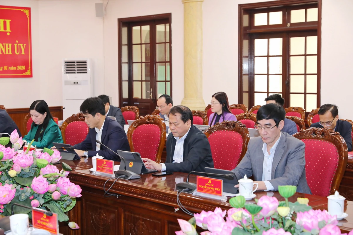 Ban Thường vụ Tỉnh ủy thống nhất chủ trương đầu tư một số dự án quan trọng