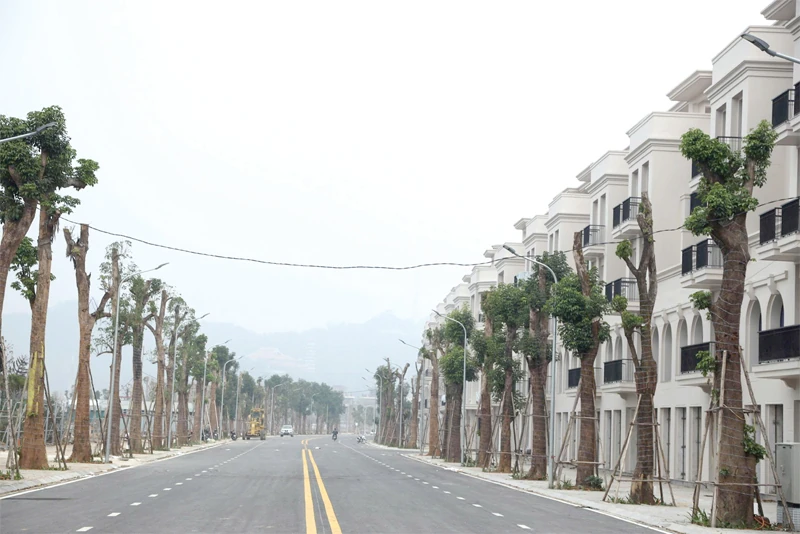 Thị trường bất động sản: Nguồn cung dồi dào, người mua khó tiếp cận