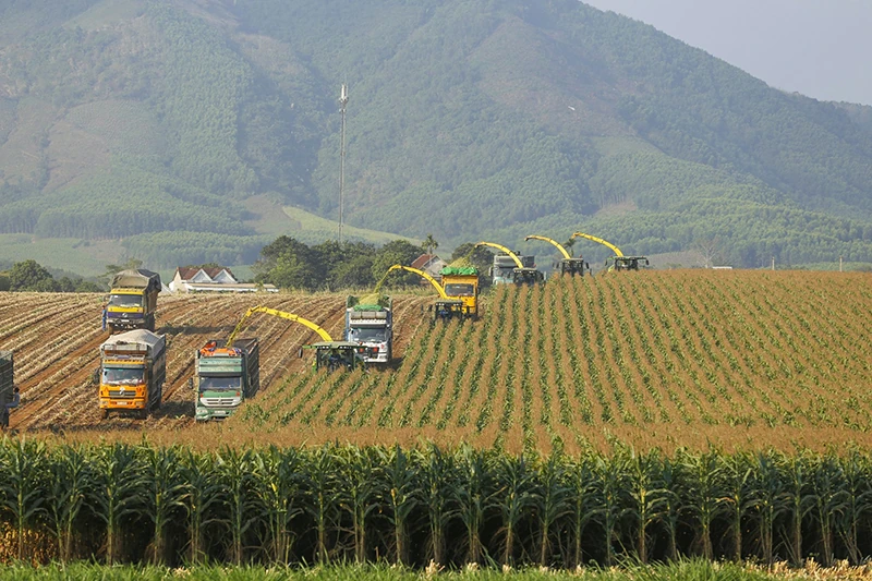 Dám nghĩ, dám làm, dám đổi mới