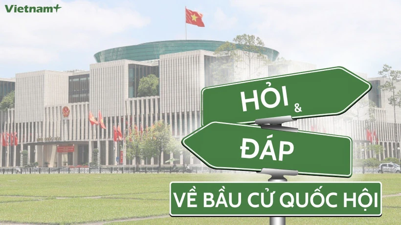 Ý nghĩa chính trị của cuộc bầu cử đại biểu Quốc hội khóa XVI