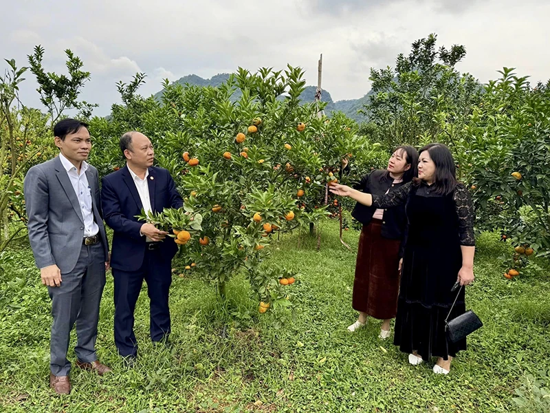 Gieo xanh tăng trưởng, khép vòng tuần hoàn