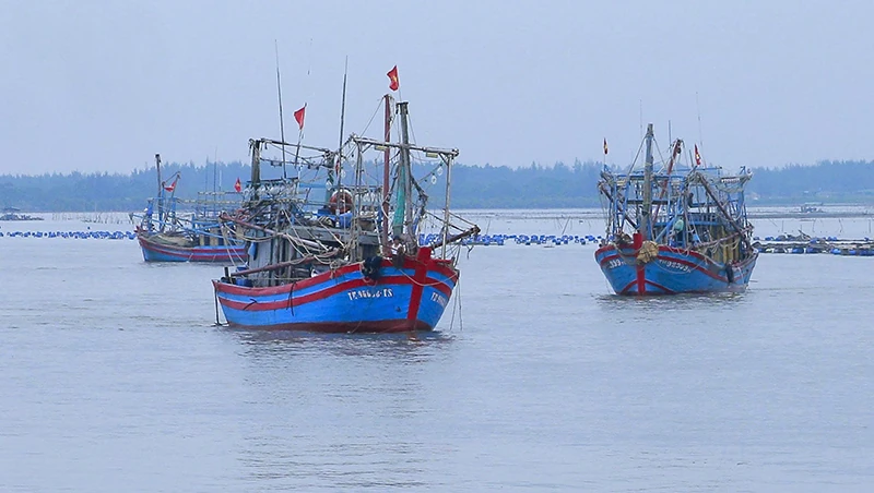Hướng ra biển lớn