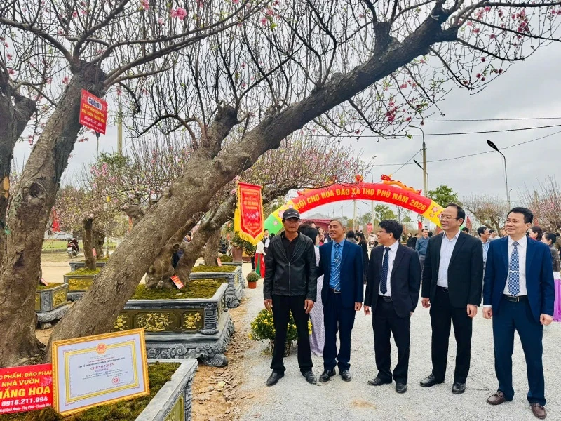 Hơn 500 tác phẩm hoa đào xã Thọ Phú trưng bày tại hội chợ