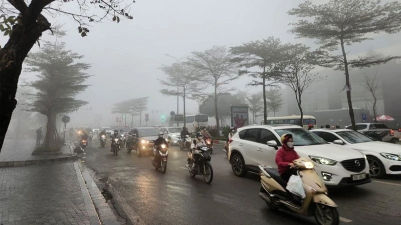 Từ nay đến hết tháng 1/2026, Thanh Hóa rét ẩm, mưa phùn và sương mù kéo dài