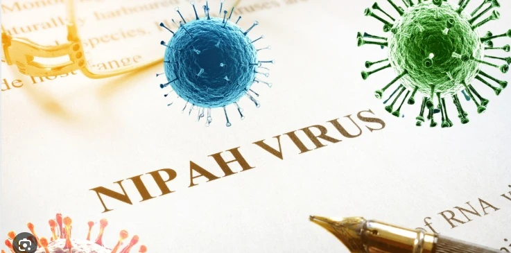 Tăng cường giám sát phòng, chống dịch bệnh do virus Nipah trên địa bàn tỉnh