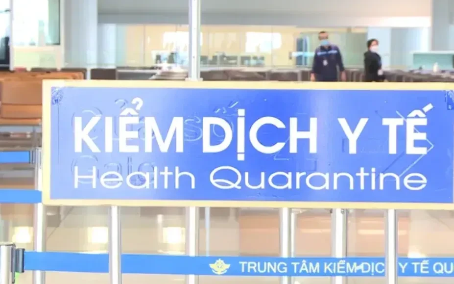 WHO nhận định gì về nguy cơ virus Nipah xâm nhập Việt Nam?