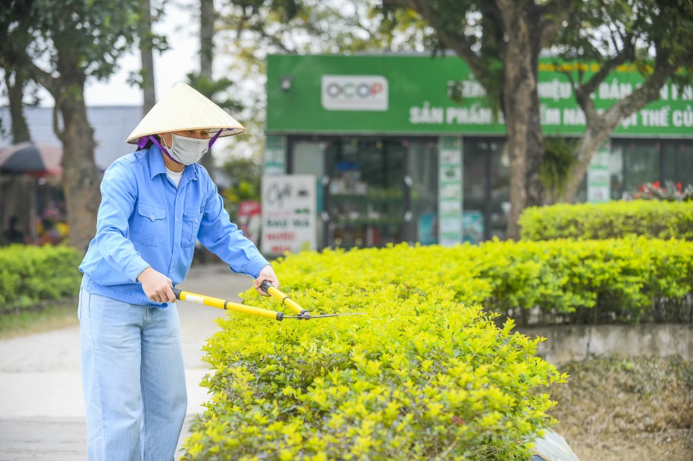 Thành nhà Hồ chỉnh trang cảnh quan, sẵn sàng chào đón Tết Bính Ngọ