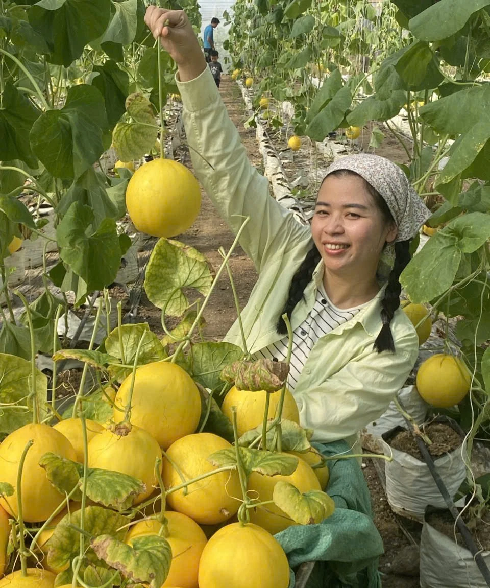 Gần 100 sản phẩm tiêu biểu tỉnh Thanh Hóa tham gia Hội chợ Mùa Xuân 2026