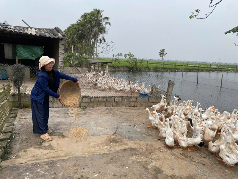 TYM Chi nhánh Nam Thanh Hóa đồng hành cùng phụ nữ nghèo