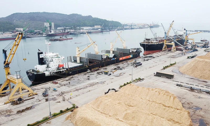 Chi cục Hải quan khu vực X vững bước trên chặng đường mới