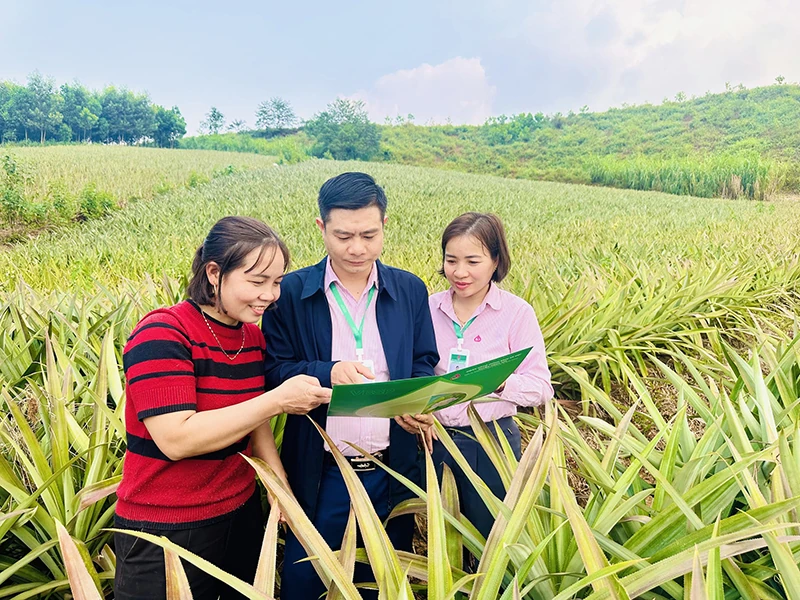 Bền niềm tin, vững sinh kế từ tín dụng chính sách