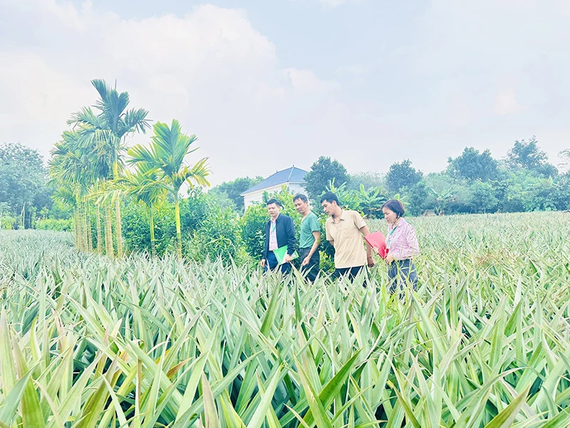 Bền niềm tin, vững sinh kế từ tín dụng chính sách