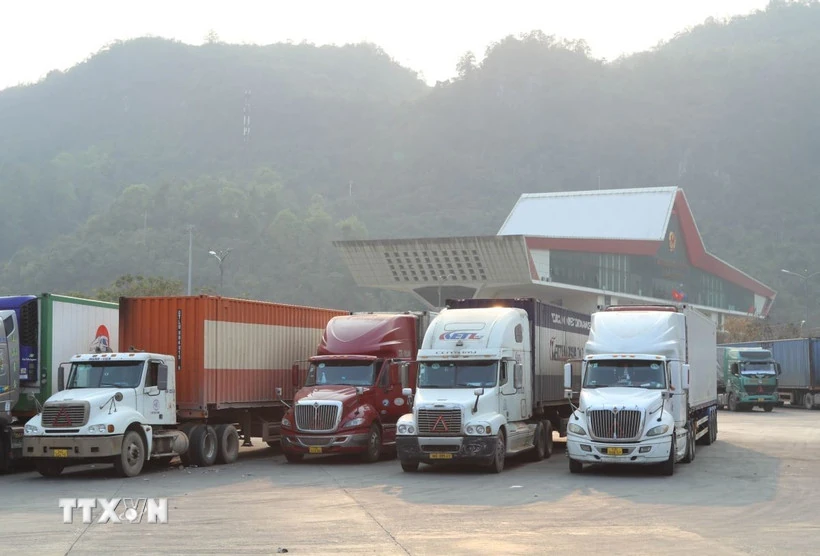 Tạm ngưng áp dụng Nghị định 46: Giải pháp cấp bách vấn đề gỡ ách tắc thông quan