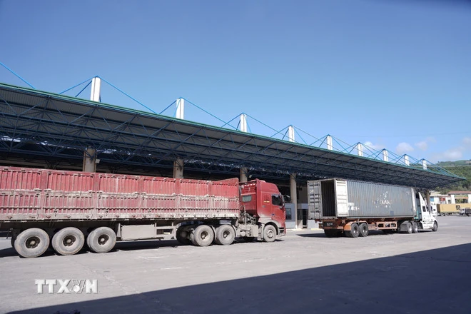 Tạm ngưng áp dụng Nghị định 46: Giải pháp cấp bách vấn đề gỡ ách tắc thông quan