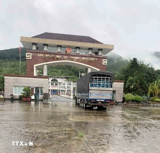 Tạm ngưng áp dụng Nghị định 46: Giải pháp cấp bách vấn đề gỡ ách tắc thông quan