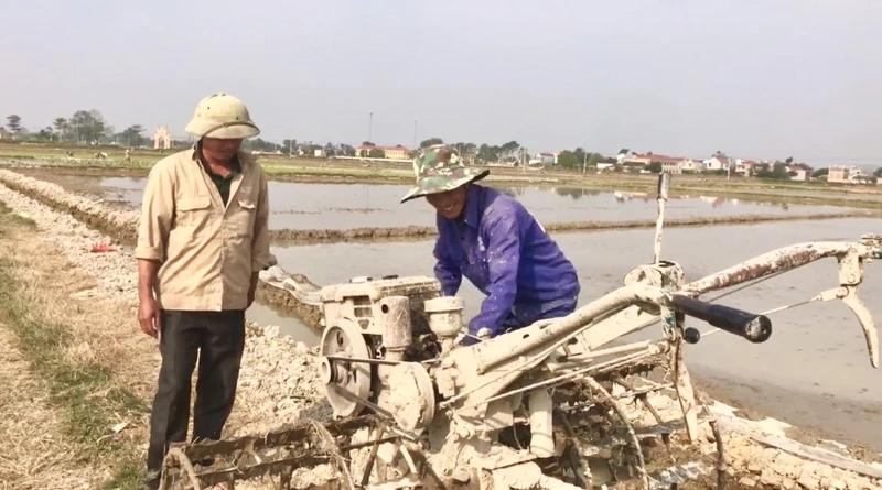 Thiệu Toán đảm bảo sản xuất vụ xuân trong khung thời vụ