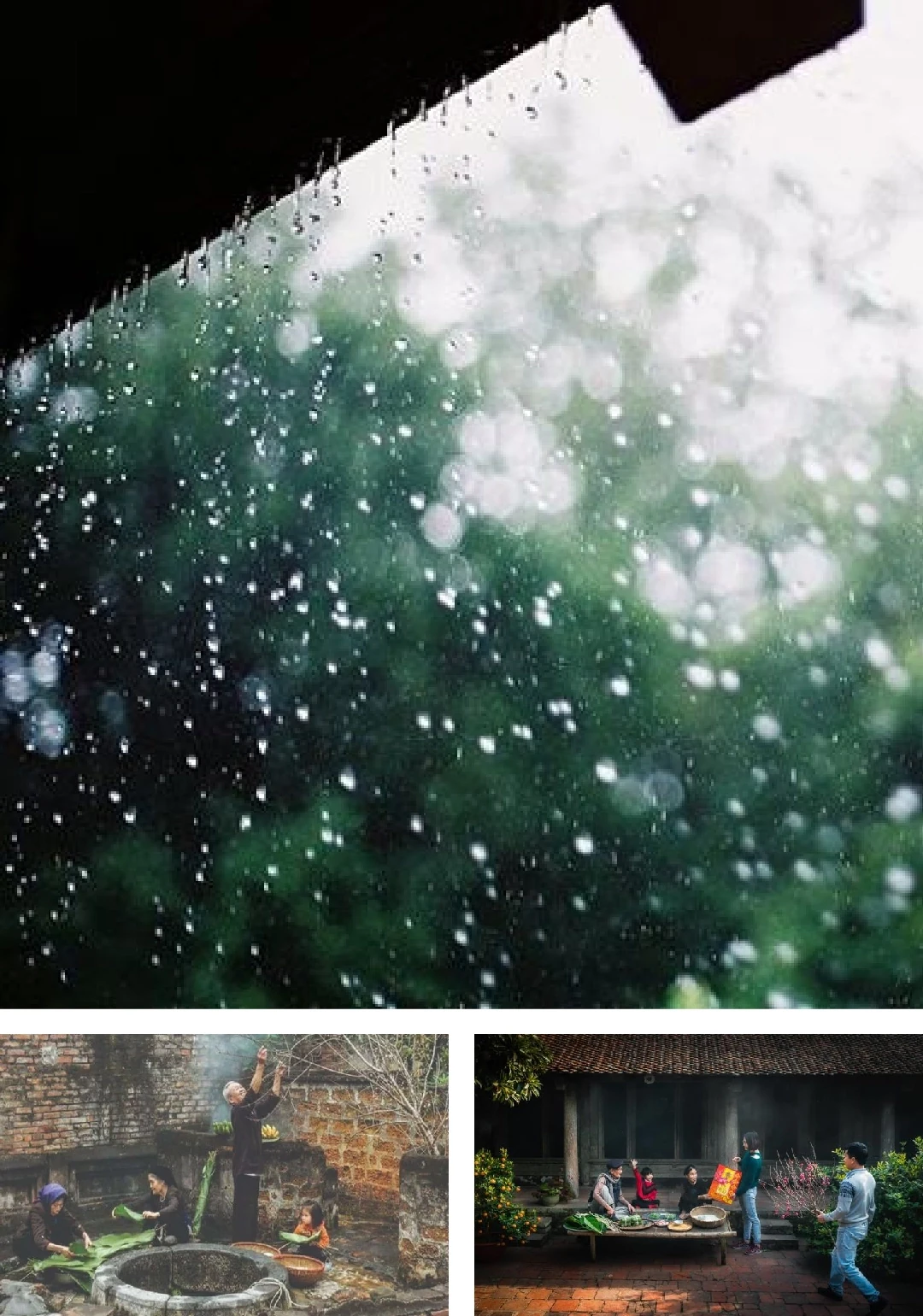 [E-Magazine]: Hồn xuân đất Bắc