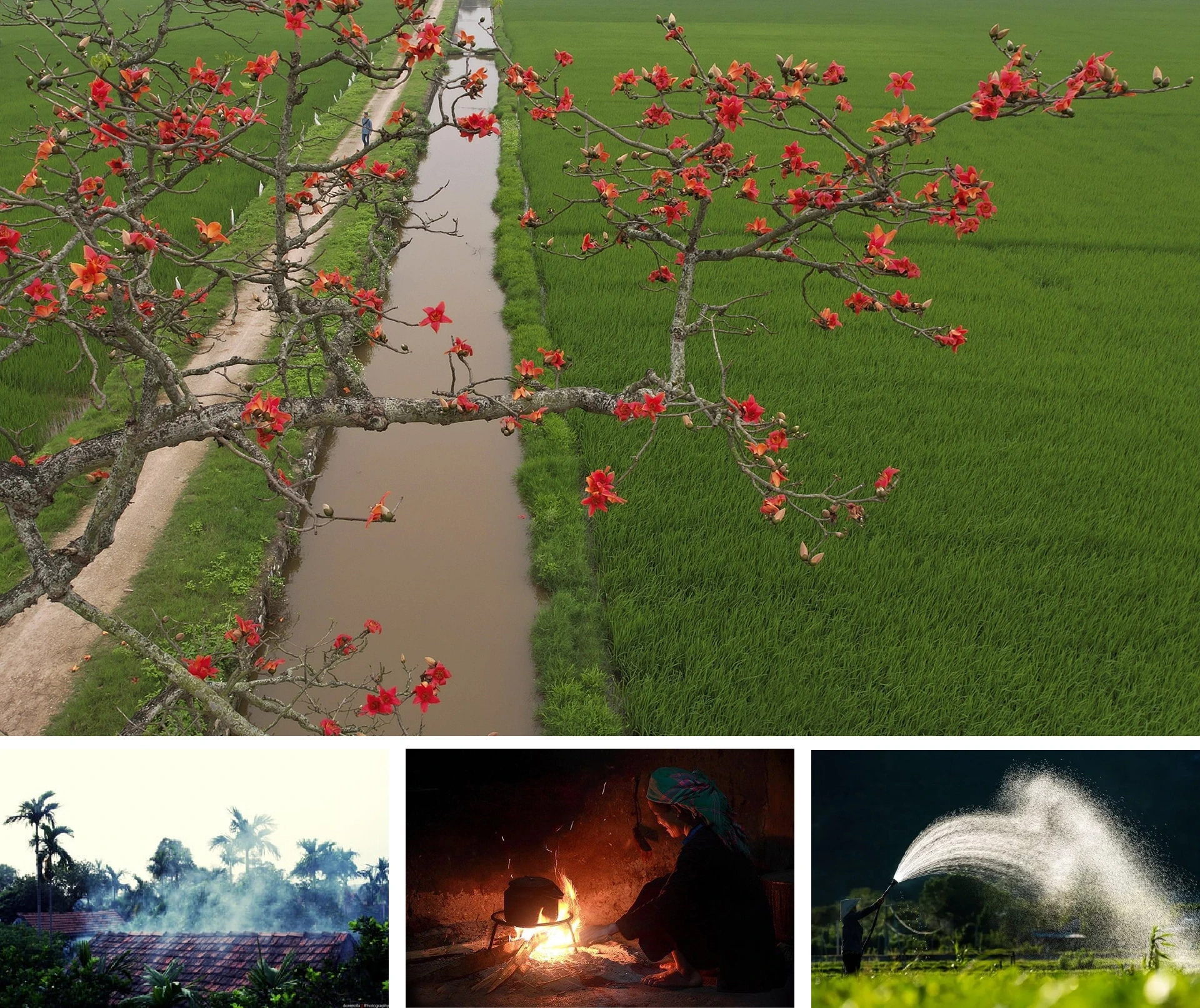 [E-Magazine]: Hồn xuân đất Bắc