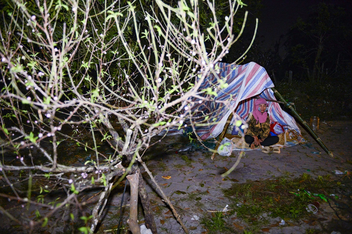 Thức cùng đêm lạnh để giữ sắc xuân