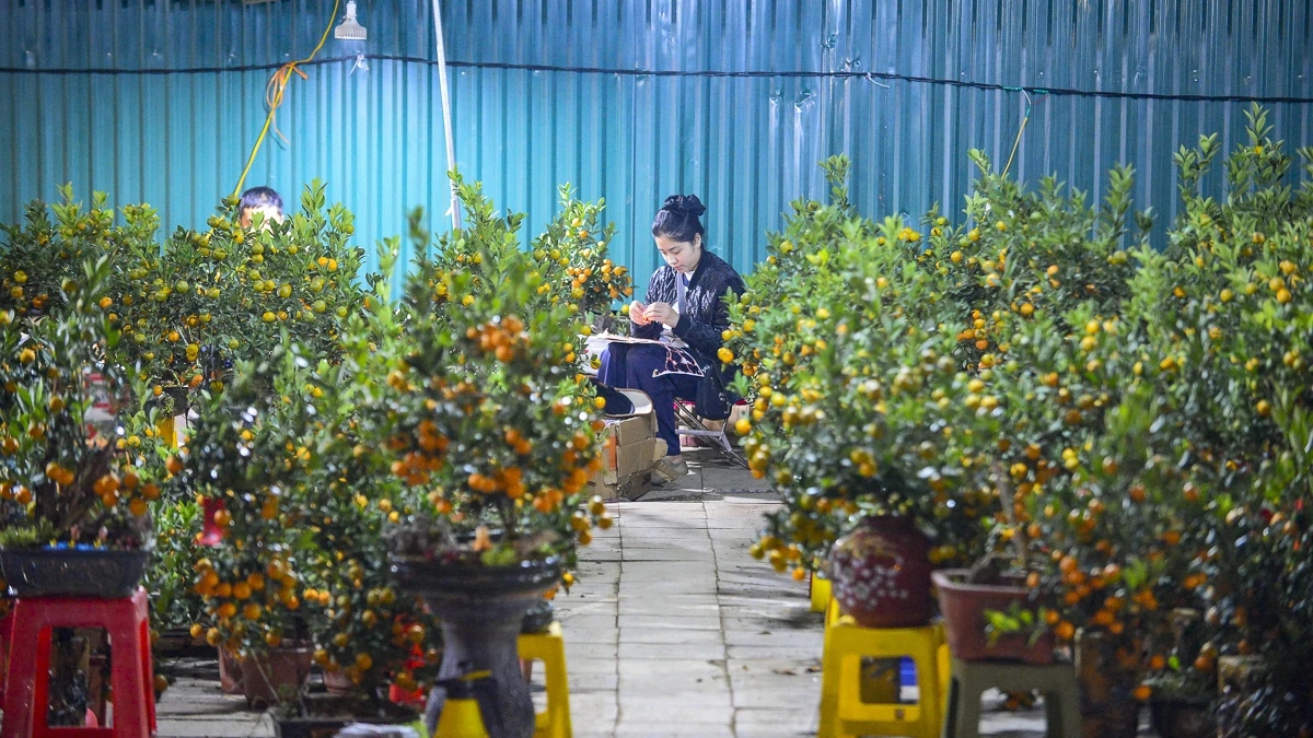 Thức cùng đêm lạnh để giữ sắc xuân