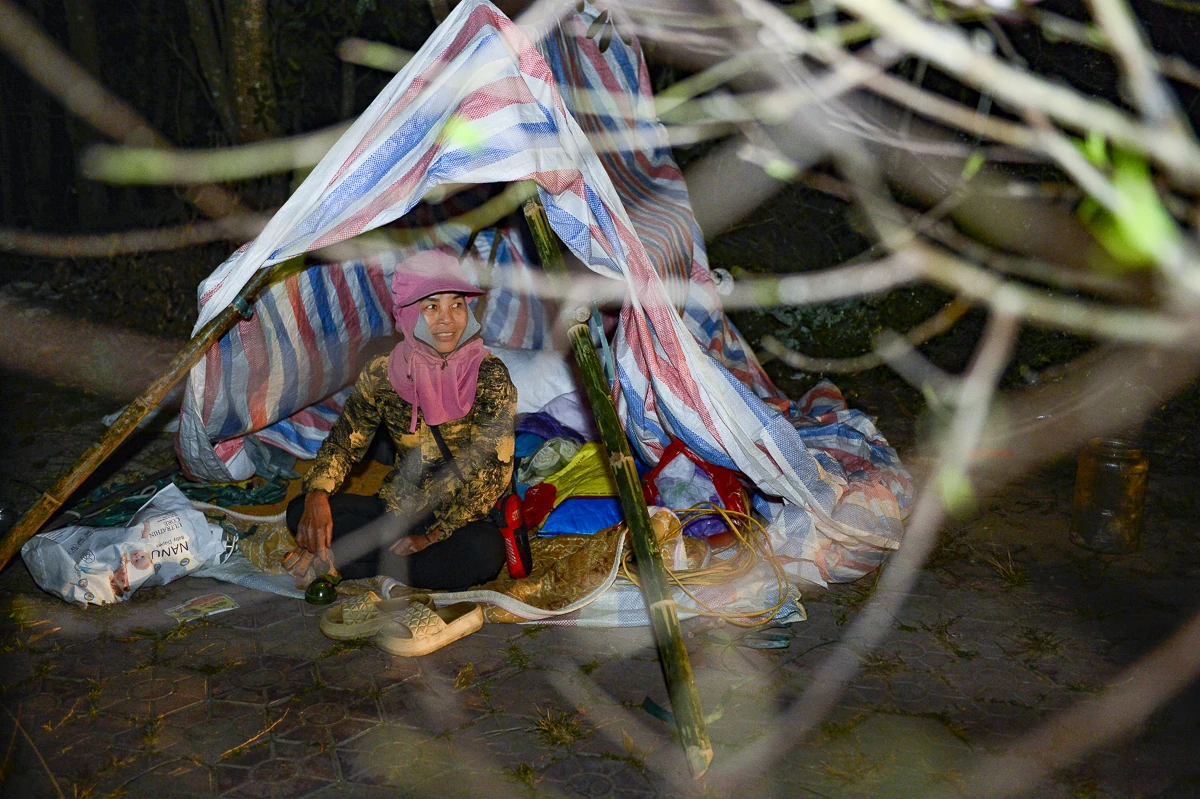 Thức cùng đêm lạnh để giữ sắc xuân