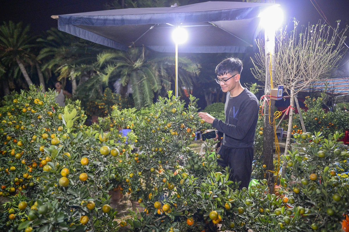 Thức cùng đêm lạnh để giữ sắc xuân