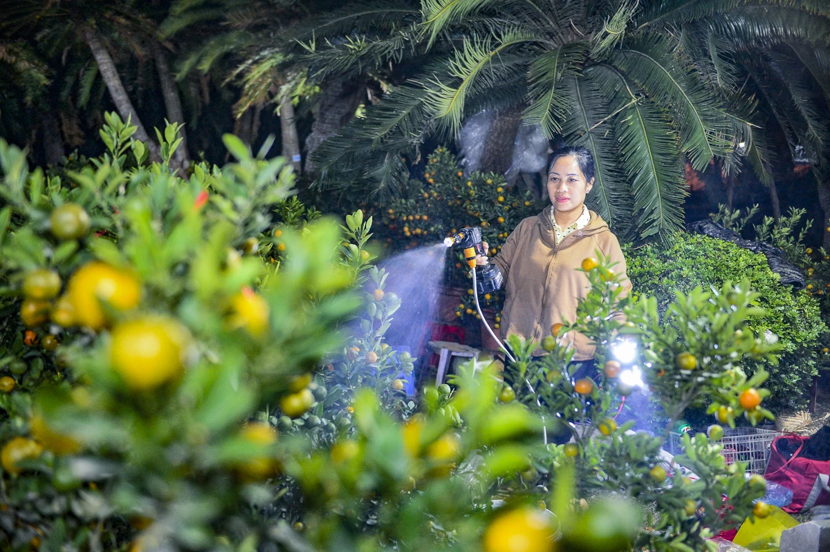 Thức cùng đêm lạnh để giữ sắc xuân