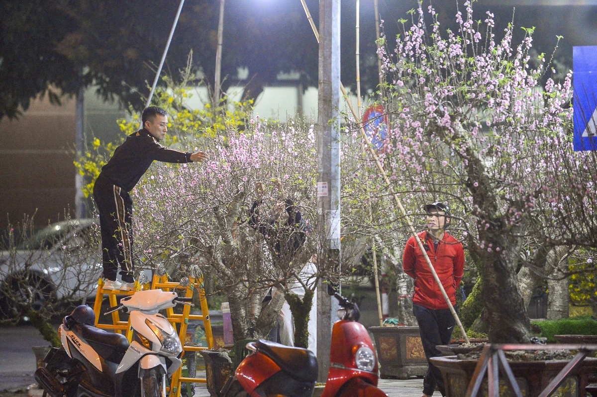 Thức cùng đêm lạnh để giữ sắc xuân