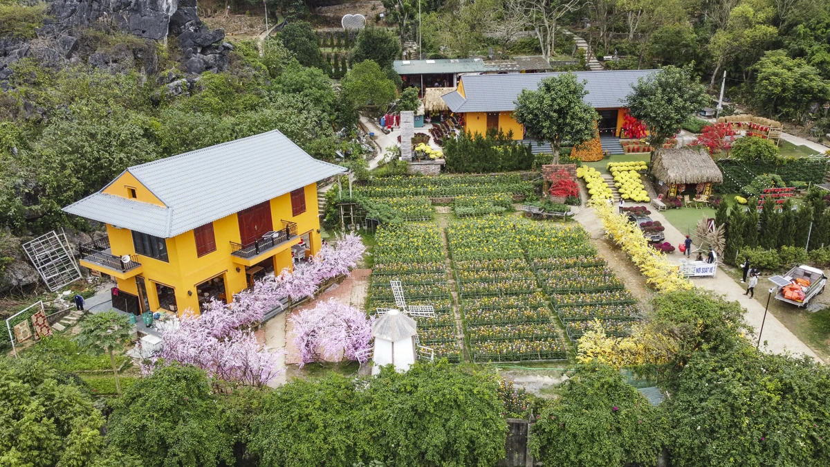 Đón Tết 2026 tại Động Tiên Sơn: Lung linh cảnh sắc, phong phú trải nghiệm