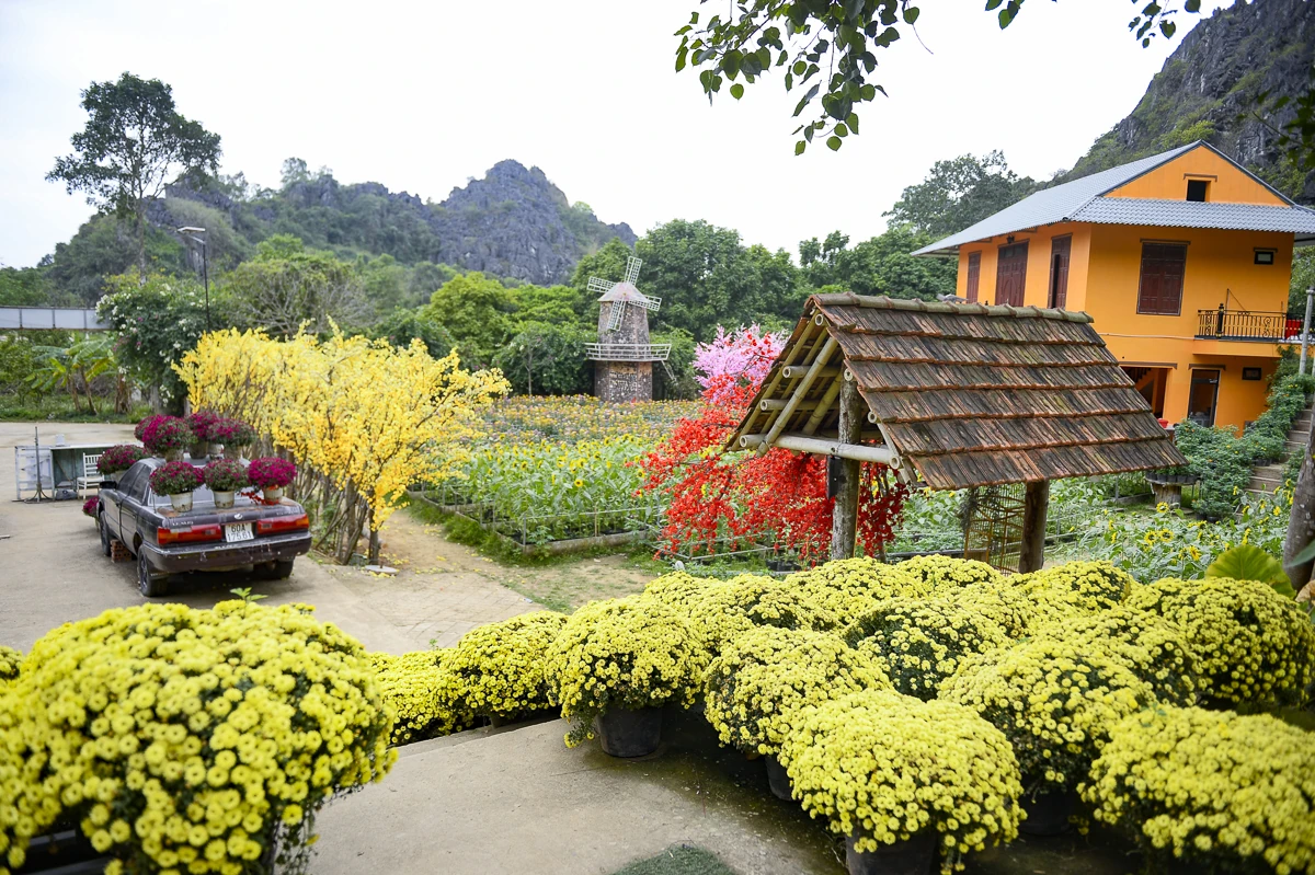 Đón Tết 2026 tại Động Tiên Sơn: Lung linh cảnh sắc, phong phú trải nghiệm
