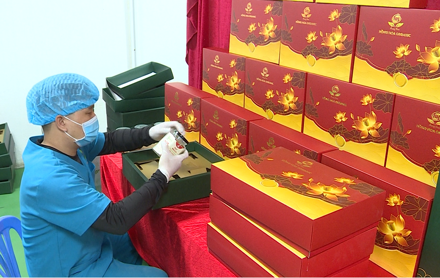 “ Chất lượng hơn số lượng” - Nâng cao chất sản phẩm OCOP xứ Thanh giai đoạn 2026–2030