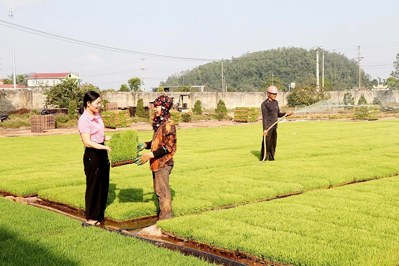 Hội LHPN xã Hoằng Phú hỗ trợ hội viên phát triển kinh tế