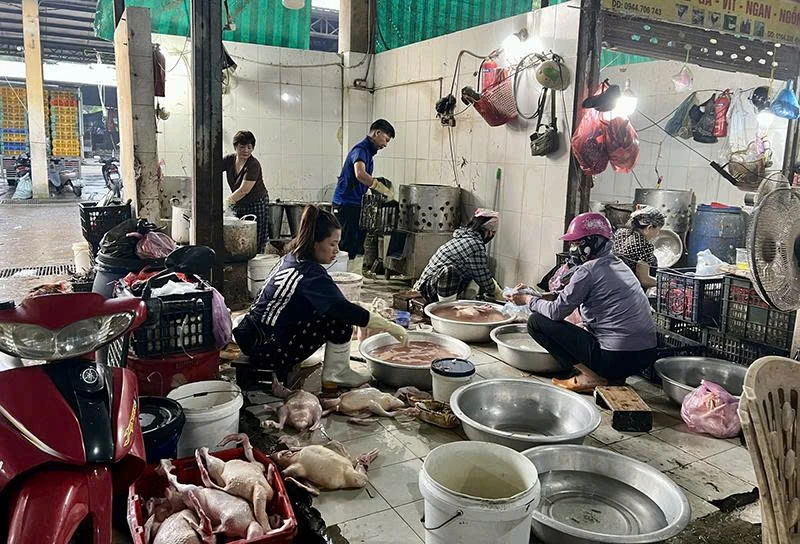 Giết mổ gia cầm tại chợ dân sinh - nhiều nguy cơ tiềm ẩn