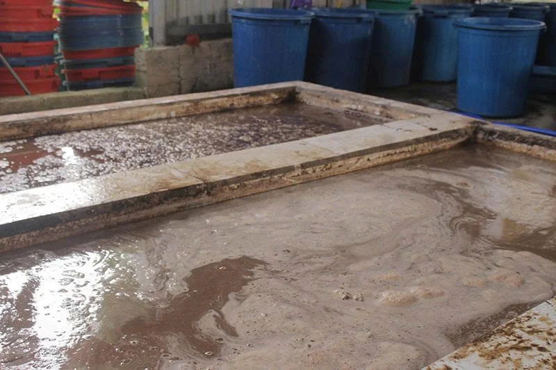 Giải “bài toán” môi trường ở làng nghề sản xuất miến