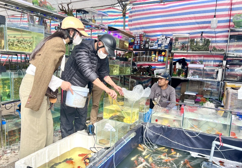 Ngắm cả “mùa xuân trong nước”