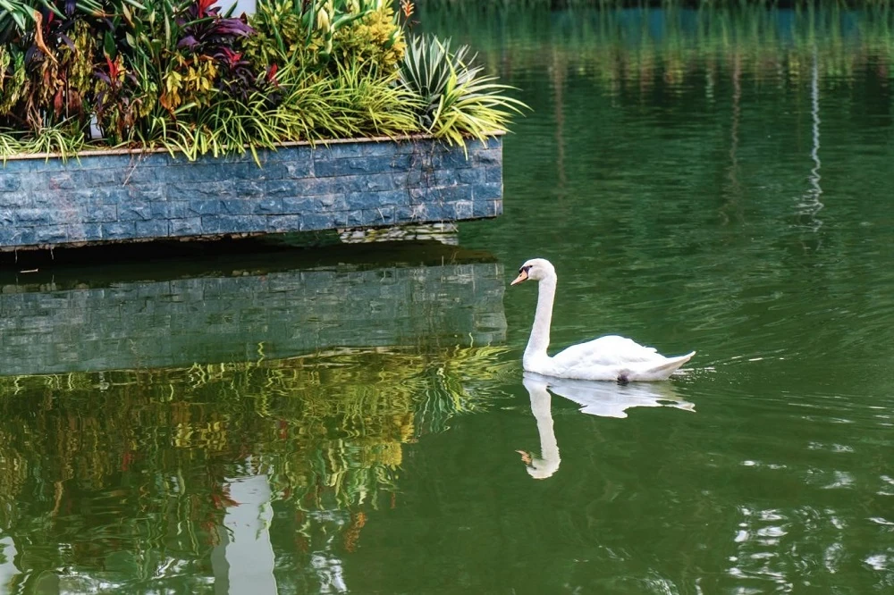 Lamori: Chạm xuân, gieo phúc lành