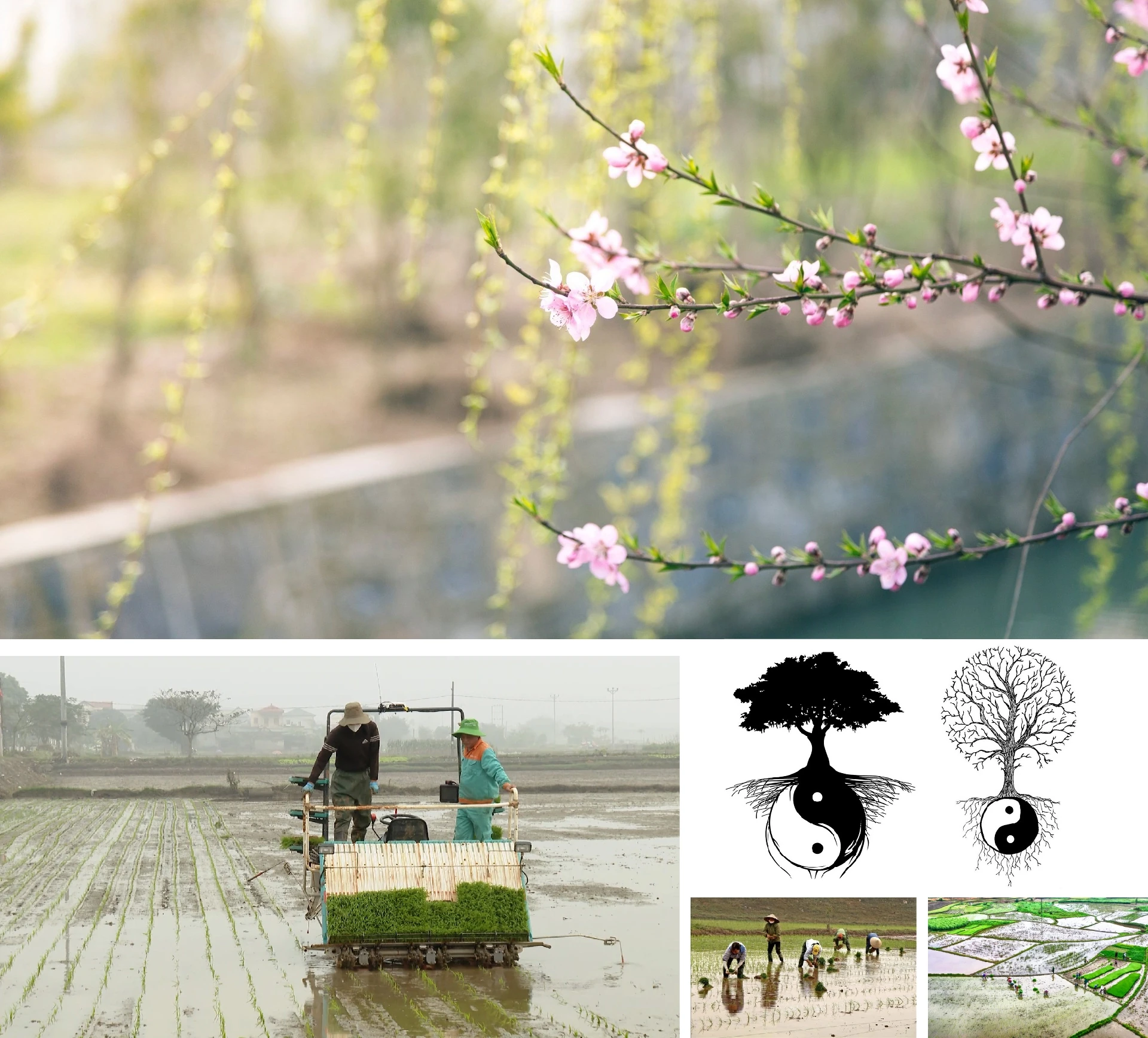[E-Magazine] Tết Nguyên đán - “Buổi sáng linh thiêng nhất”