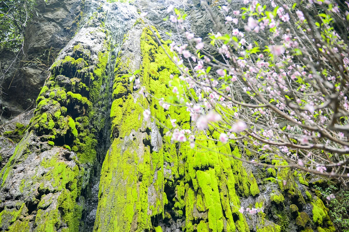 Phủ Na rực rỡ diện mạo mới, sẵn sàng đón xuân Bính Ngọ