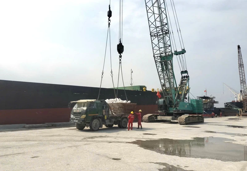 Nhịp xuân trên bến cảng